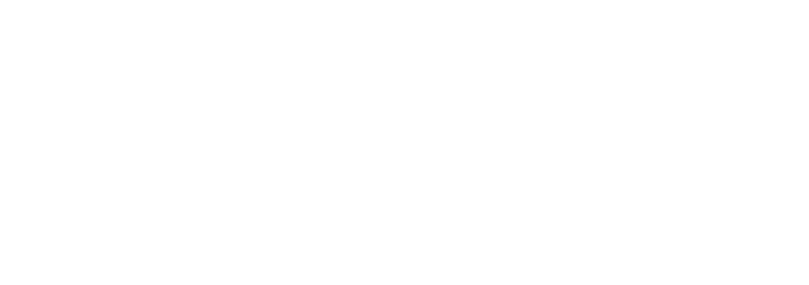 Directive Games Logo